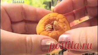 Купили гладиолусы в марте.  Что с ними делать.