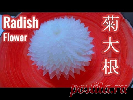 残したい日本の技術　菊大根　作り方　Decorative vegetables from Japan