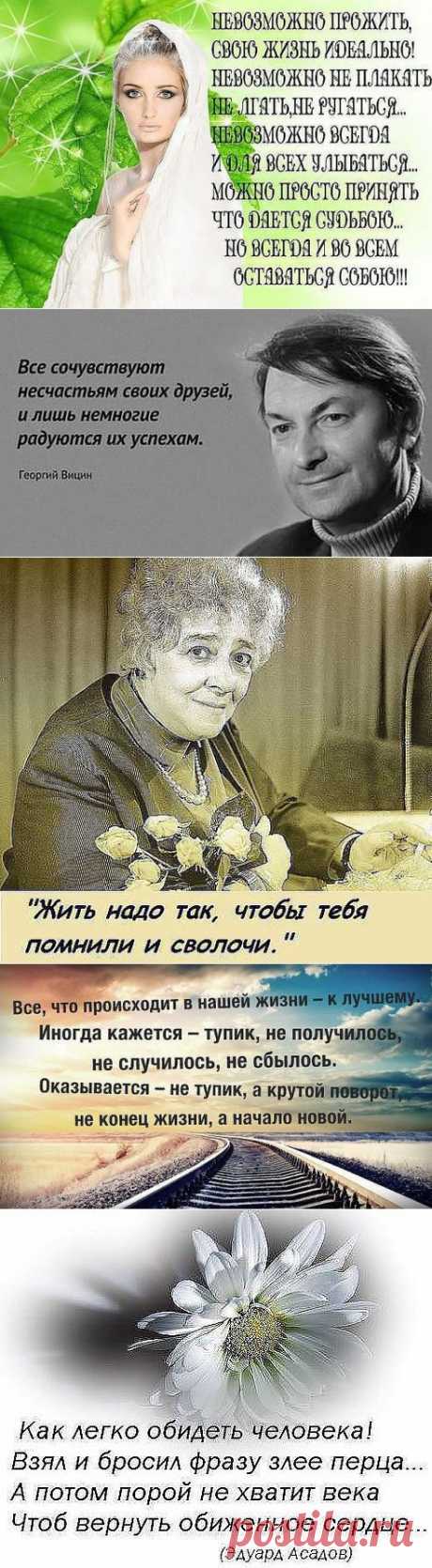 Мудрые цитаты...или мудрость написанная жизнью....
