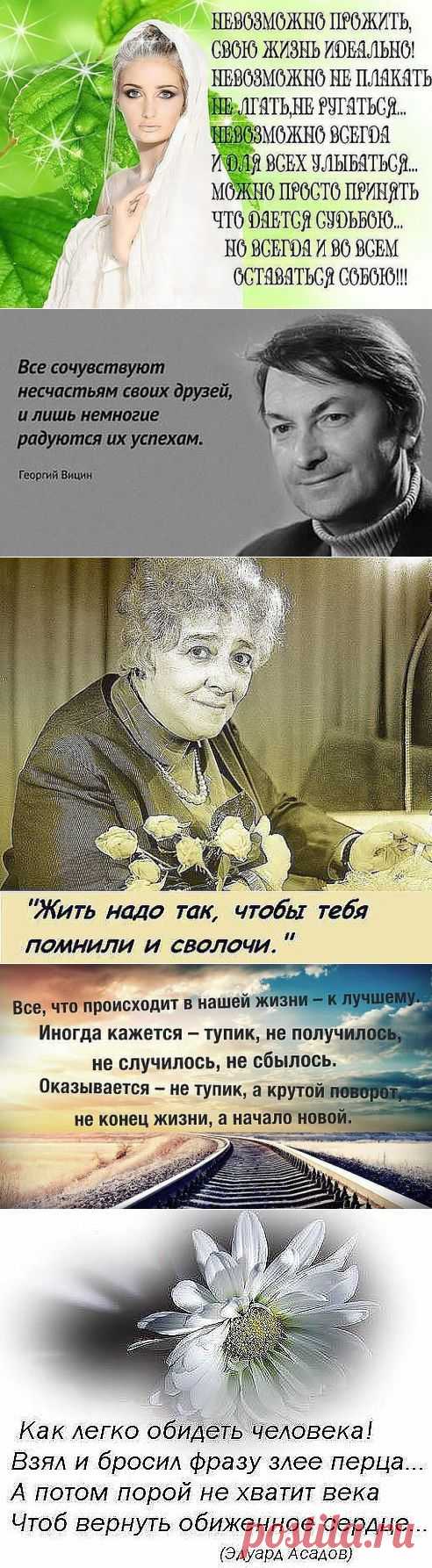 Мудрые цитаты...или мудрость написанная жизнью....