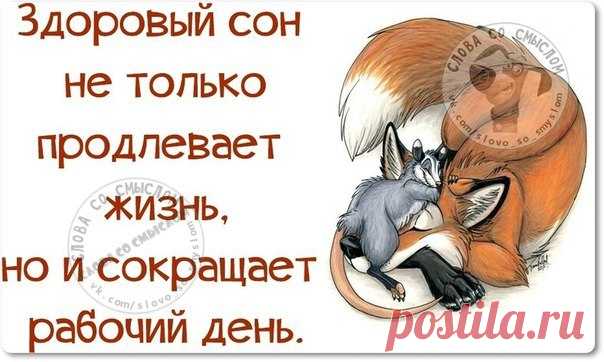 Позитивные фразочки в прикольных картинках. Всем отличного настроения!