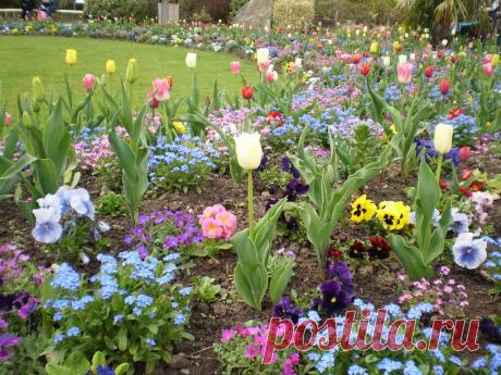 King Dav, Giant of Peace.