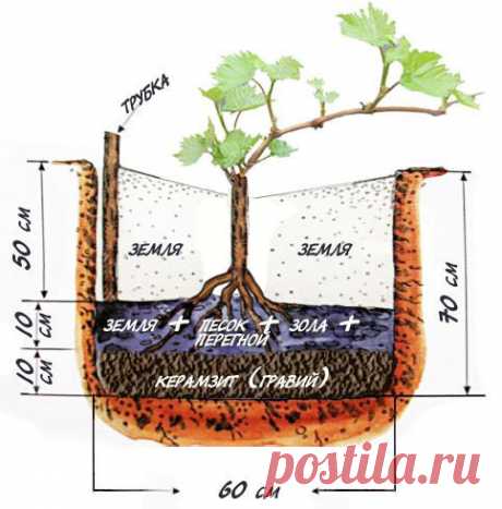 Одноклассники