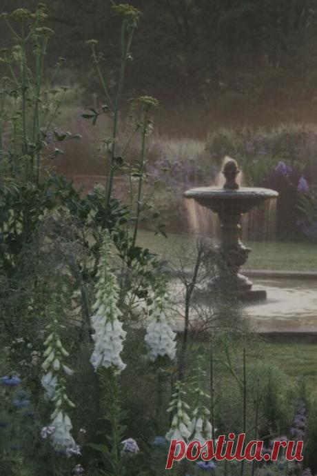 🕊⛲️✨