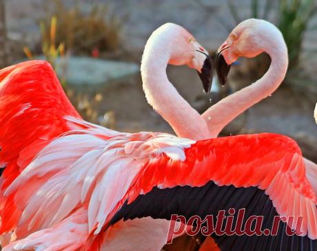 BeautifulNow is Beautiful Now | Beautiful Images & Ideas About Love Now