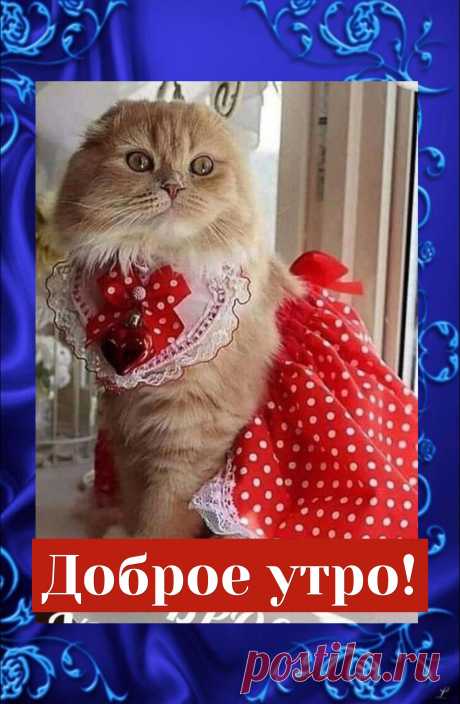 Доброе утро!