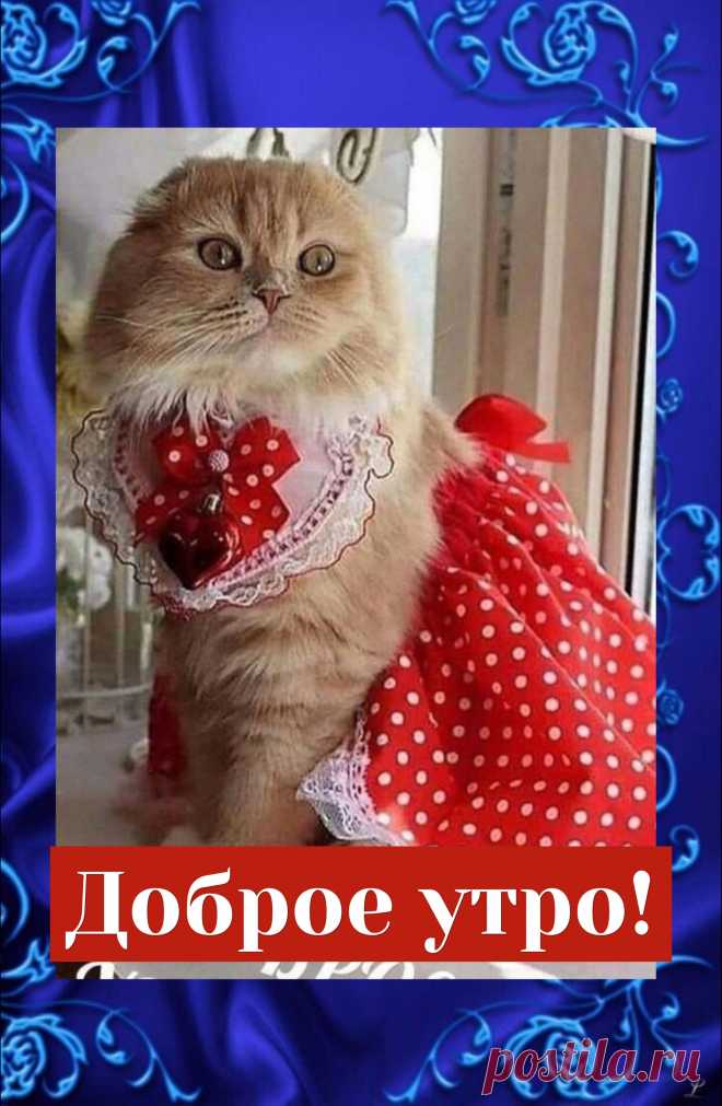 Доброе утро!