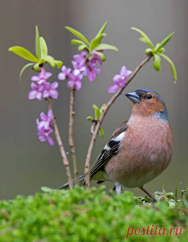 Почему люди, которые просто относятся к жизни добиваются ВСЕГО?!