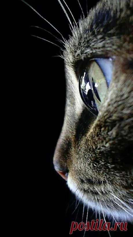 (199) Pinterest