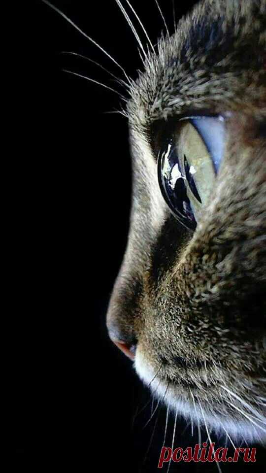 (199) Pinterest
