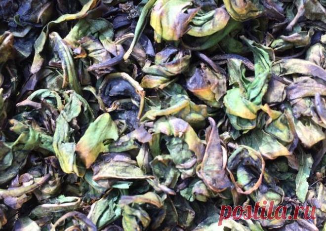 (13) Заготовка чая из Иван-чая - пошаговый рецепт с фото. Автор рецепта Марина Комаедова . - Cookpad