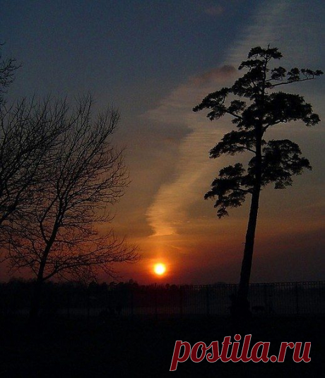 Рассветы, закаты...