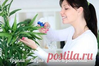 Мои закладки