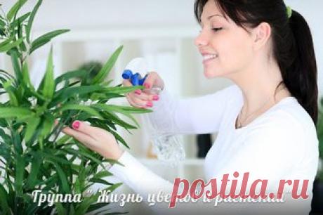 Мои закладки