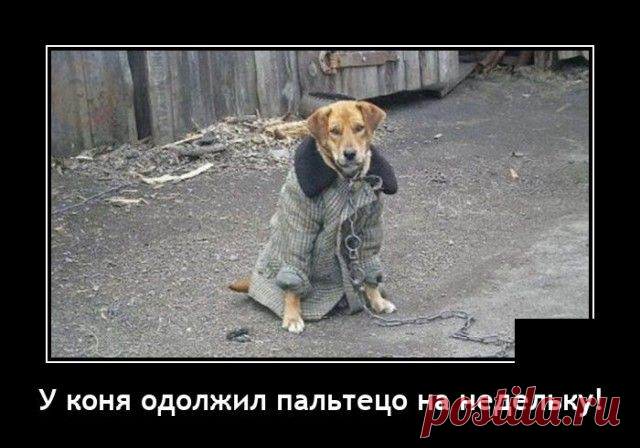 Демотиваторы (10.08.22) - Нет скуки.ру. Юмор, приколы, смешные картинки и разные интересности..