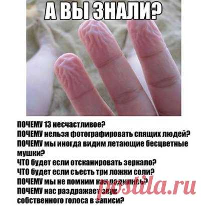 ПОЧЕМУ 13 несчастливое? 🙅 
ПОЧЕМУ нельзя фотографировать спящих людей?💤 
ПОЧЕМУ мы иногда видим летающие бесцветные мушки? 
ЧТО будет если отсканировать зеркало? 
ЧТО будет если съесть три ложки соли?🍴 
ПОЧЕМУ мы не помним как родились?🎉 
ПОЧЕМУ нас раздражает звук собственного голоса в записи?👺
Читайте продолжение тут - https://ok.ru/group/50433548484742