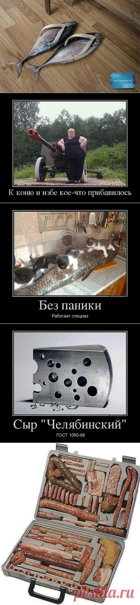 (+1) тема - Я первый день на диете, поэтому не обессудьте за подборку.....)))))) | ОБОРЖАКА ;)
