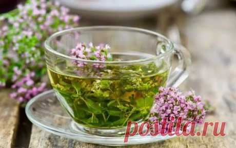 🌸 ТАКАЯ ПОЛЕЗНАЯ ДУШИЦА