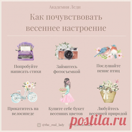 Академия Леди | Яндекс Дзен