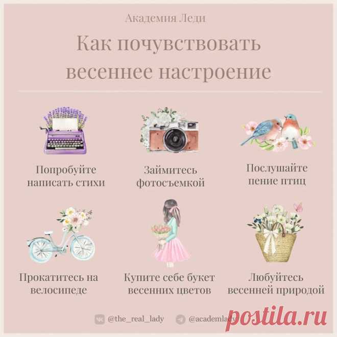 Академия Леди | Яндекс Дзен