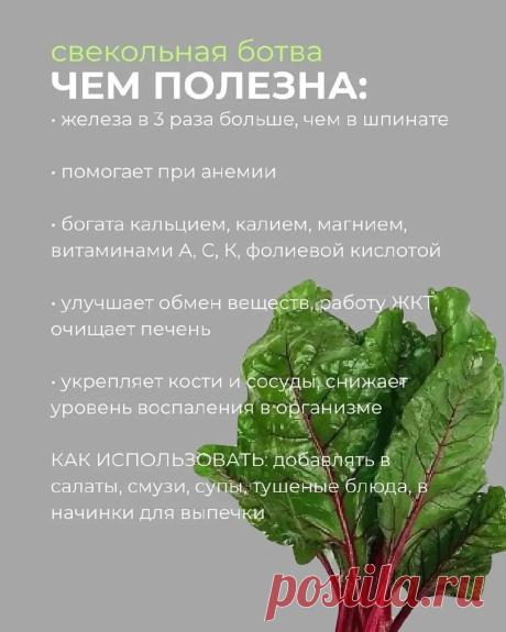 Свекольная ботва - чем полезна