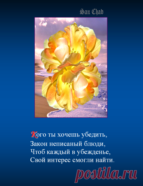 Софиты - от слова София-мудрость * поэтические строки о мудрости.
