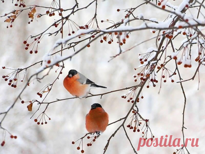 ГОРОСКОП НА ФЕВРАЛЬ 2019 ГОДА ПО ЗНАКАМ ЗОДИАКА. Планеты в феврале и в 2019 году в целом будут создавать атмосферу расслабленности и комфорта. Мы будем больше, чем обычно, нуждаться в уюте, внимании, нежности и понимании. У нас будет меньше выражена склонность совершать безрассудные поступки, проявлять упрямство и твердолобость.