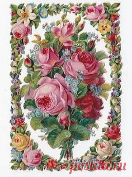 (2441) Красивые рисунки цветов в Pinterest