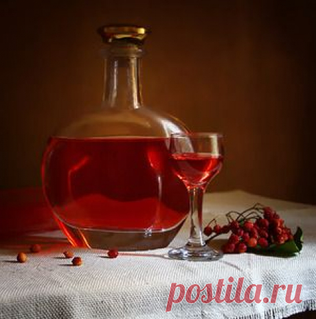 Рецепты приготовления настоек