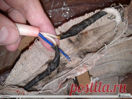 Выводы спиралей