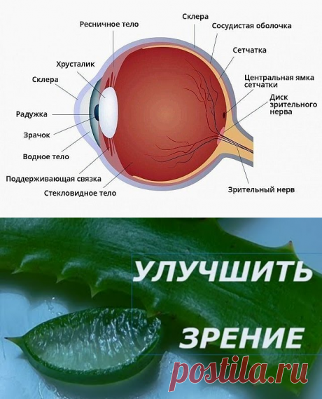 (4) Одноклассники