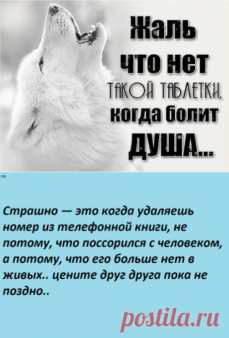 (22) Одноклассники