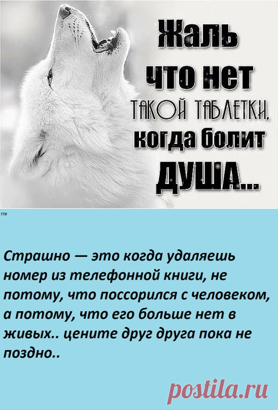 (22) Одноклассники