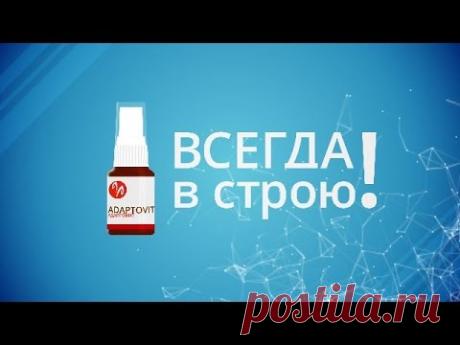 Энергомоделирующий комплекс "Адаптовит". Всегда в строю!