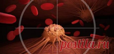 Испанские учёные открыли эффективный метод лечения рака лёгких
Научными сотрудниками Наваррского народного университета (Испания) определена причина, помогающая раковым клеткам размножаться в легочной ткани и прятаться от иммунных клеток организма. Данное открытие может повысить использование иммунотерапии в борьбе с раком лёгких. Материалы исследования опубликовал Journal of Cell Biology....
Читай дальше на сайте. Жми подробнее ➡