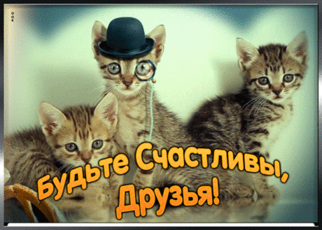 Трогательная картинка друзьям