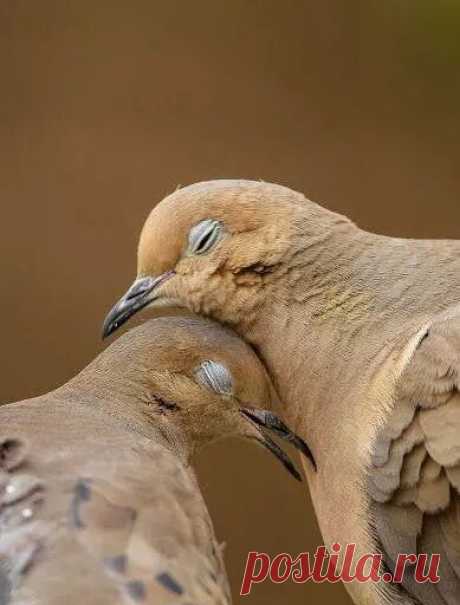 touchn2btouched