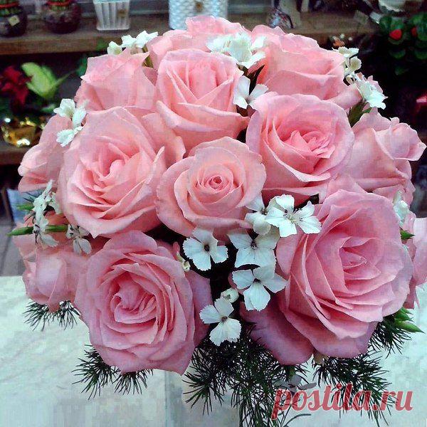 wasfee: В жизни я слышал многое — клятвы, обещания, комплименты, но лучшее, что я слышал — тишина. В ней нет лжи.