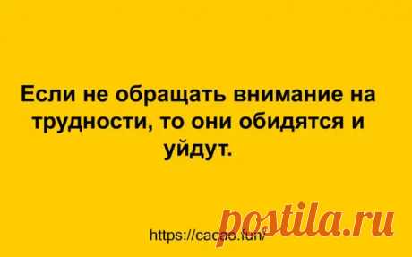 (47) Десятка забавных анекдотов, которые настроят вас на позитивную волну - Сказка для двоих - 1 апреля - 43277305033 - Медиаплатформа МирТесен