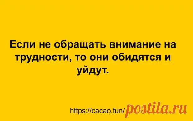 (47) Десятка забавных анекдотов, которые настроят вас на позитивную волну - Сказка для двоих - 1 апреля - 43277305033 - Медиаплатформа МирТесен