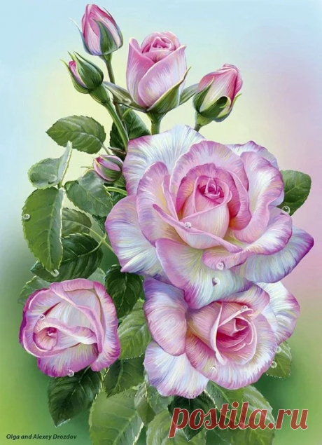 Виктория Головко - Google+