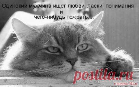 Заходим, не стесняемся, смеёмся, улыбаемся!: Группа Беседка «Дачная жизнь»
