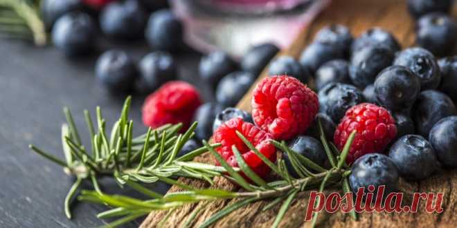 Ягоды от рака и инсульта. Как пищевые волокна спасают от кучи заболеваний - Здоровье Mail.ru