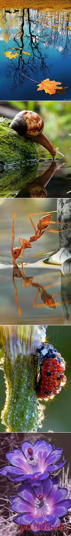 (58) Pinterest • Всемирный каталог идей
