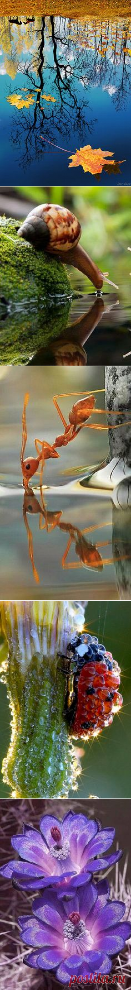 (58) Pinterest • Всемирный каталог идей