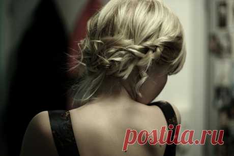 Дафина любимых фотографий Flickr | Picssr