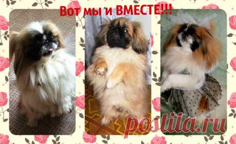 Елена Сивцова