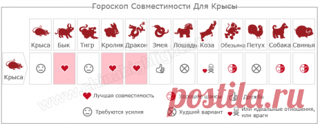 Год Крысы Гороскоп, 2020 Год Какого Животного | Чайна Хайлайтс