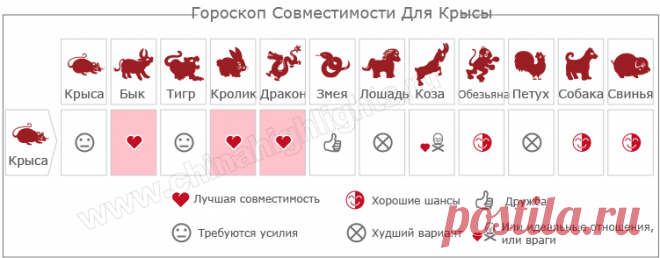 Год Крысы Гороскоп, 2020 Год Какого Животного | Чайна Хайлайтс
