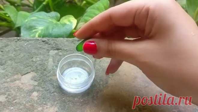 Капсула, которая вернет цвет вашим седым волосам
